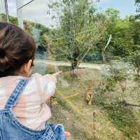 Shenzhen Safari Park 