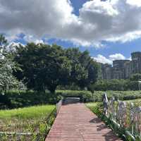 打卡深圳觀瀾濕地公園