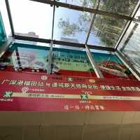 打卡深圳連城新天地