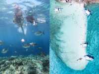 In April, go to Barikas Island and swim freely with the fish.