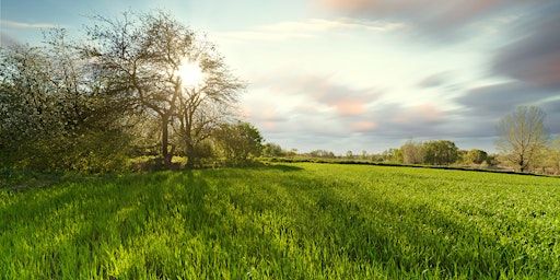 Free Spring Turf Talk | Churchill's Garden Center