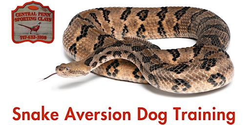 Snake Aversion Dog Training | Central Penn Sporting Clays
