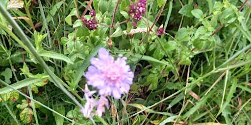Second Friday Netwalking for Founders and Freelancers October 11 | West Stoke Car Park for Kingley Vale Nature Reserve