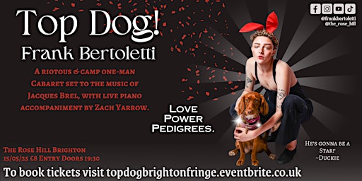Top Dog: A One man Cabaret by Frank Bertoletti at Brighton Fringe | The Rose Hill