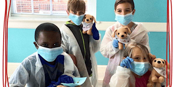 Little Veterinarian School Summer Camp Ages 6-11 Edgemont NW Calgary | Edgemont Community Association