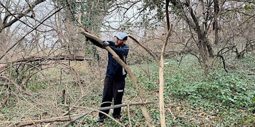 Vegetation and Trash Removal at Four Mile Run South | Meet at MVT and Four Mile Run trail intersection, this is the nearest street address if parking