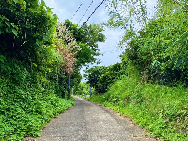夏の離島巡り旅　壱岐〜大島編