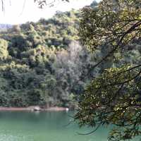 河背水塘
