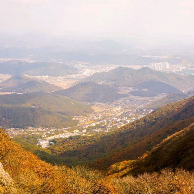 울산 가을 여행지 간월재