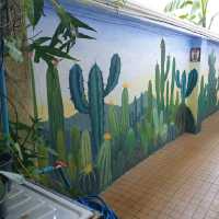 Oasis Café ป่ากลางเมือง พิษณุโลก