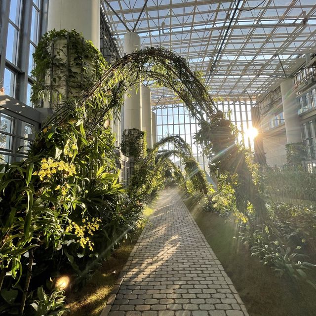 夢の植物園