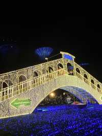 Christmas Wonderland @ Gardens By The Bay