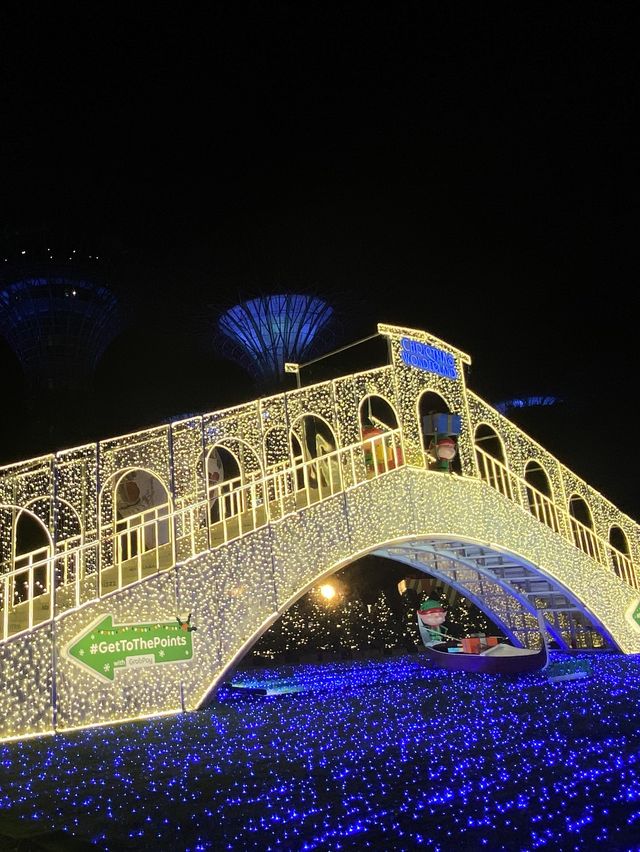 Christmas Wonderland @ Gardens By The Bay