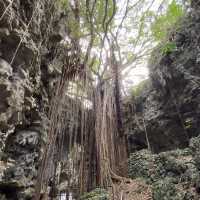 【沖縄･本島】沖縄南部で自然いっぱいのパワースポット