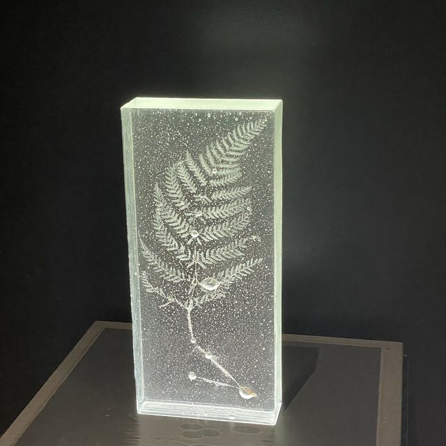 本とアートの世界