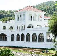 打卡位 小白鷺餐廳