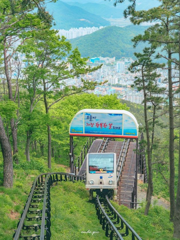 거제 봄 여행은 무조건 여기!