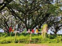 Great National Park Wonderful Indonesia