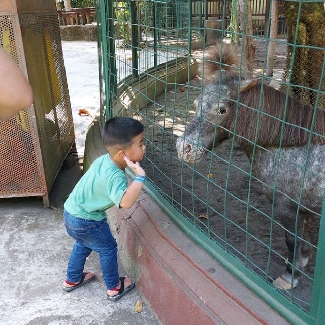 Exploring Bali Zoo😃