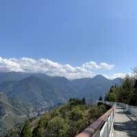 Blossoming Trees at Cing Jing Farm, Taiwan