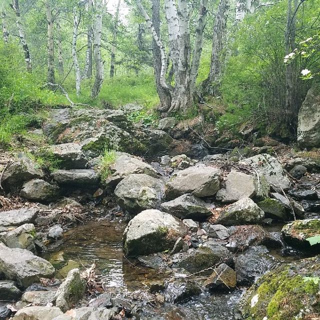 Bogd Khan Mountain Trip