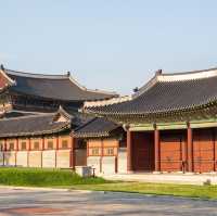 서울의 낭만 '경복궁'