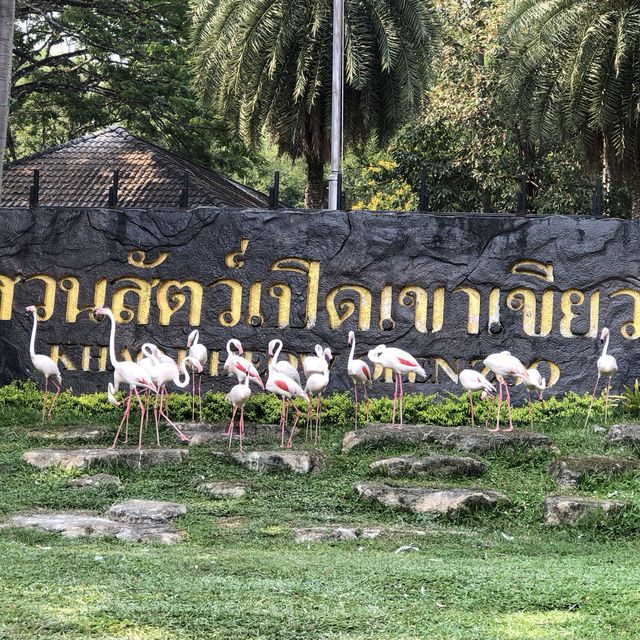 เขาเขียว