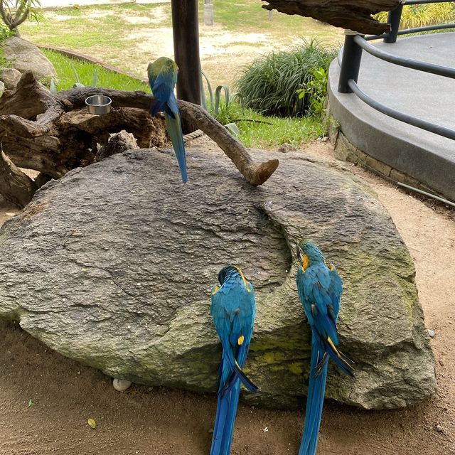 Hua Hin Safari Adventure Park