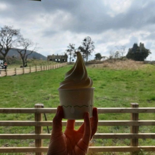 제주 우유아이스크림 맛집 우유부단