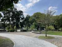 內湖最棒的野餐公園 