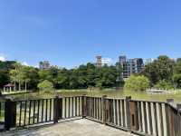 有沒有像台版兼六園呢 這邊就像是一個台版的金澤花園 