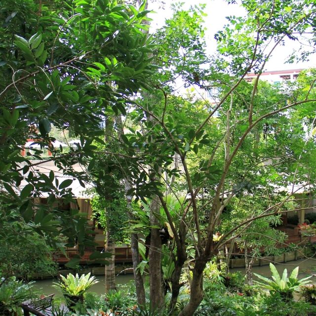 Pakasai Resort