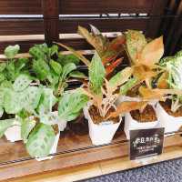 💐🪴發現美好UNIQLO Miramar Store UNIQLO 美麗華店🍀🌵