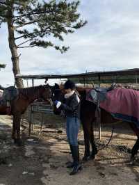 탁 트인 제주 자연에서, 색다른 경험을 하고싶다면?🐎 <뱅듸승마클럽>