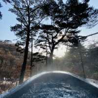겨울에는 제천 포레스트 리솜 해브나인 스파에서 뜨끈하게 힐링♨️