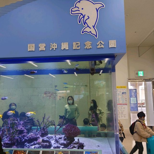 那覇空港