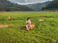จุดชมวิวริมลำธาร ท่าเรือคอกช้าง 