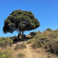 昂平草原行山郊游日