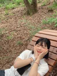 [대구] 요즘 대세는 풀멍🌳🌿💚