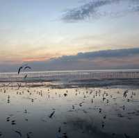 บางปู ธรรมชาติเยียวยาใจฉัน 🕊🕊