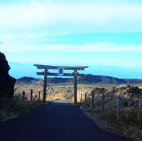 伊豆大島最高過ぎた🙋‍♂️