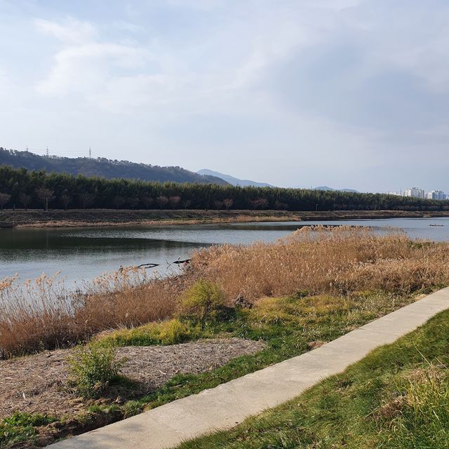 울산 가볼만한곳 태화강국가정원 십리대숲