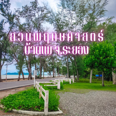 🌳สวนพฤกษศาสตร์ ริมทะเล🌊 | Trip.com จังหวัดระยอง 🌳สวนพฤกษศาสตร์ ริมทะเล🌊 | Trip.Com จังหวัดระยอง