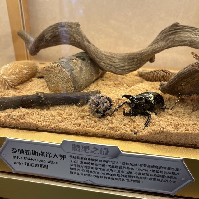 將軍澳中心