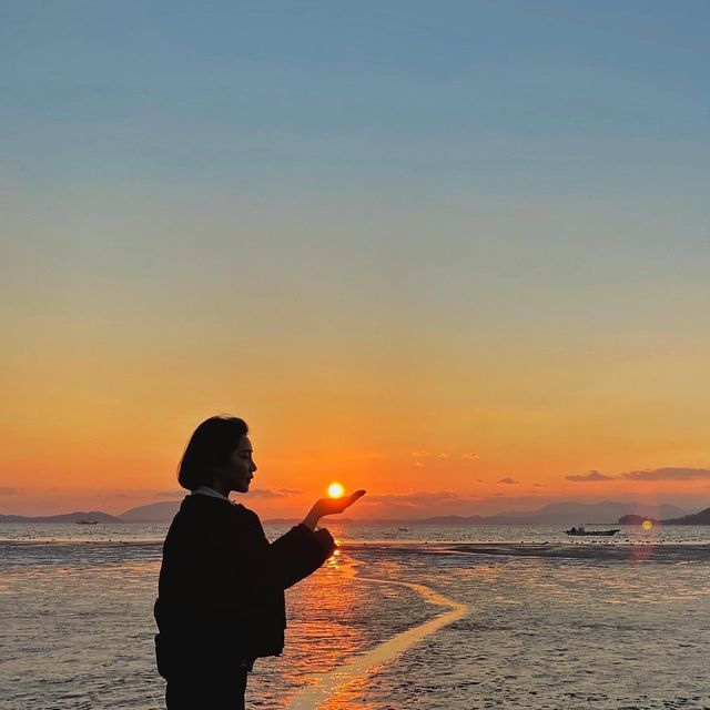 일몰 보러 와온 갈래?🌅