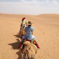 The Tengger Desert 