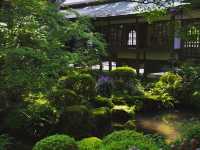 【京都】三千院　苔の庭園がとても美しい
