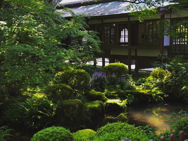 【京都】三千院　苔の庭園がとても美しい
