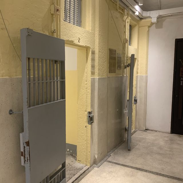 高樓大廈中之綠洲 高樓大廈中之綠洲