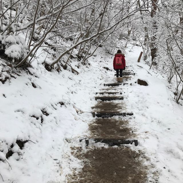 河口湖隱世上山打卡天空鳥居